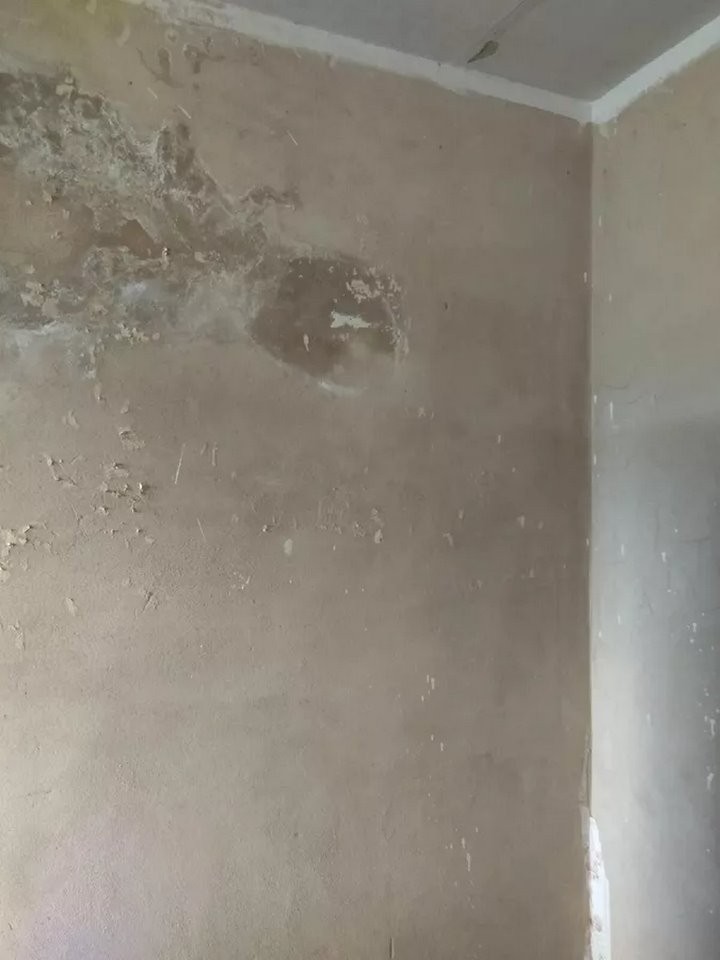 Выпускнице медколледжа выделили квартиру, в которой невозможно жить