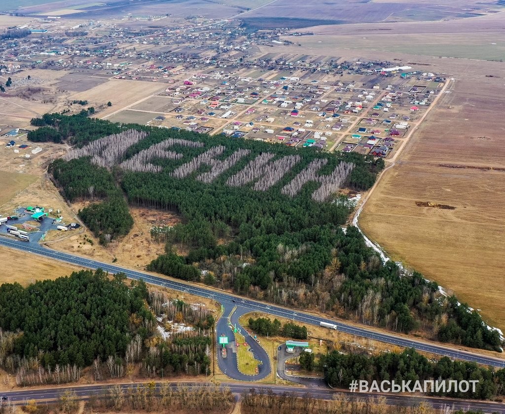 Белстат: 40 процентов территории Беларуси занимают леса