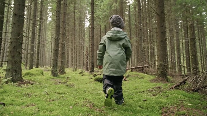 Фото из открытых источников (иллюстративное)