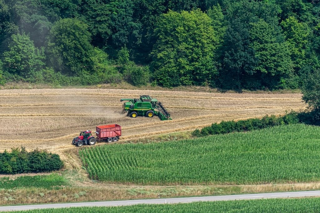 Фото: pixabay.com (иллюстративное)