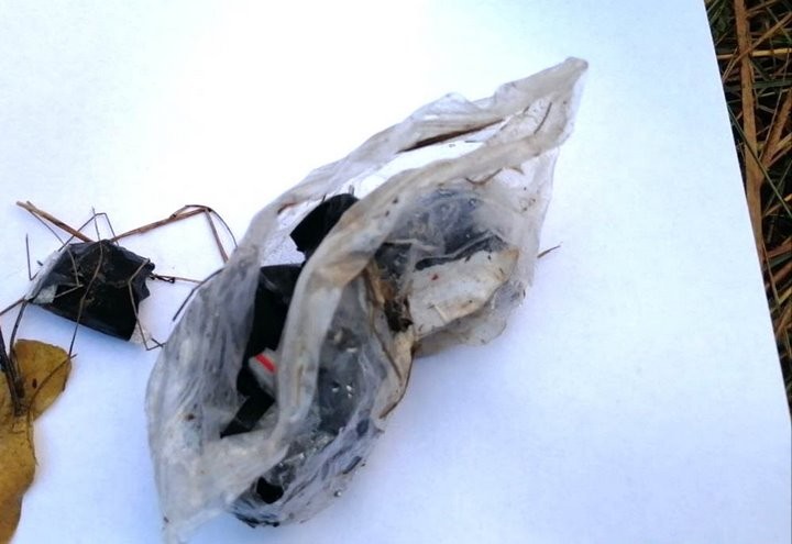 Служебная собака помогла милиционерам обнаружить наркозакладку в лесопарке Пинска