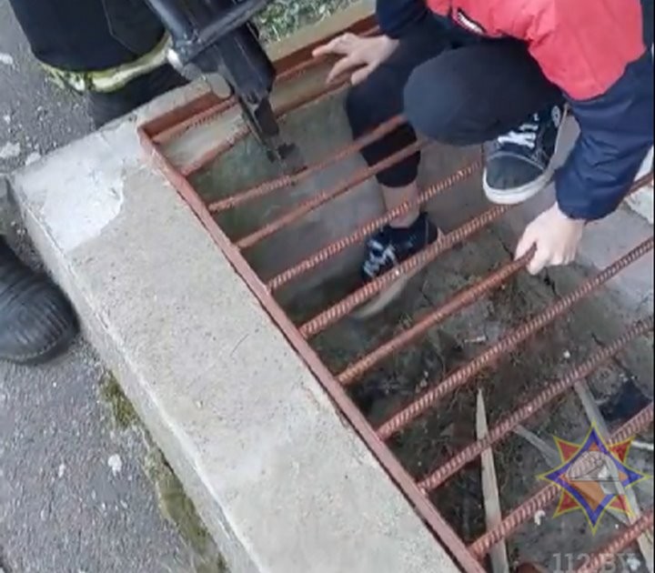 В Беларуси спасатели помогли ребенку