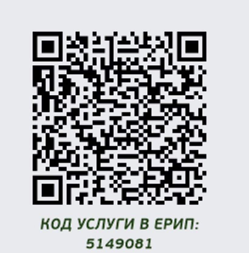Как оплатить за очередь на границе? В полночь вводят плату для всех автомобилистов