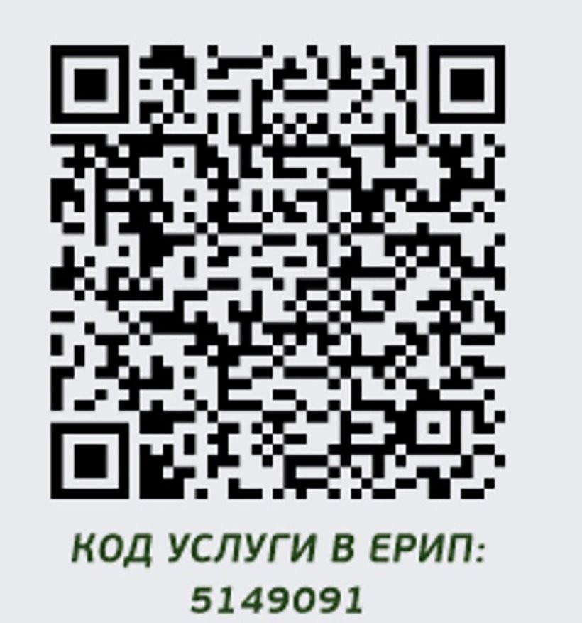 Как оплатить за очередь на границе? В полночь вводят плату для всех автомобилистов