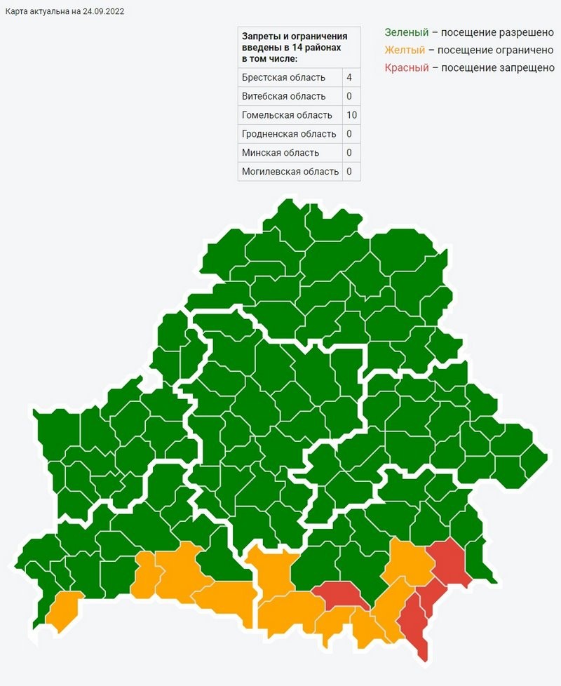 Запреты на посещение лесов продолжают действовать на юге Беларуси