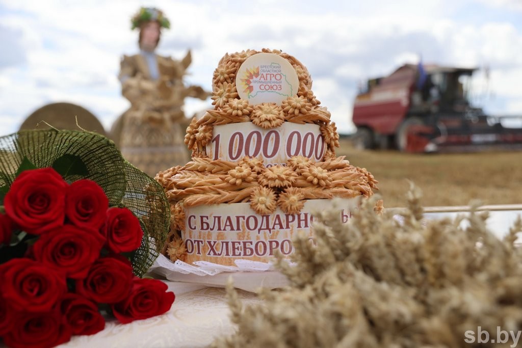 Брестская область первой в стране намолотила миллион тонн зерна