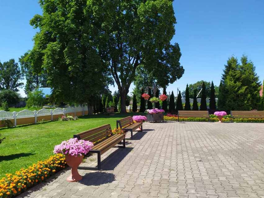 Полюбуйтесь на цветочный океан Видомли (агрогородок в Брестской области)