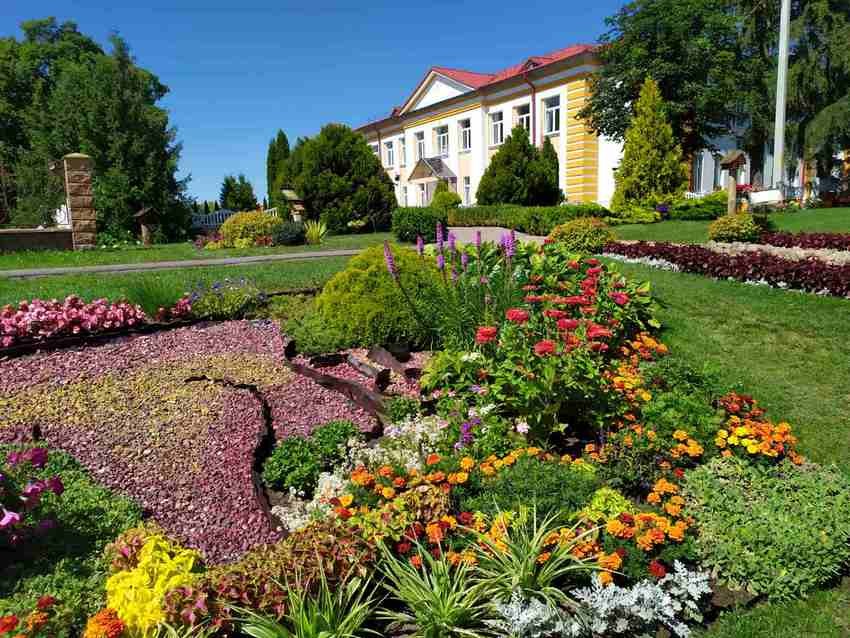 Полюбуйтесь на цветочный океан Видомли (агрогородок в Брестской области)