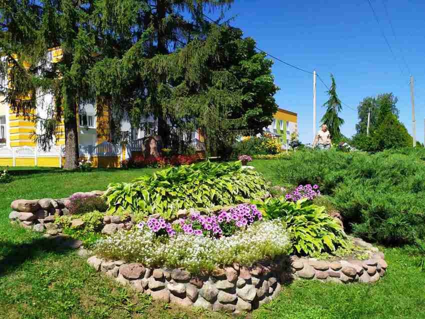 Полюбуйтесь на цветочный океан Видомли (агрогородок в Брестской области)