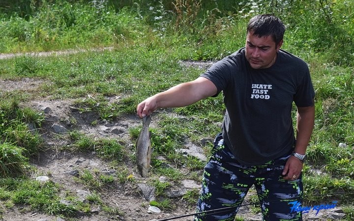 В Барановичах на Мышанке всплывает мертвая рыба. Что там происходит?