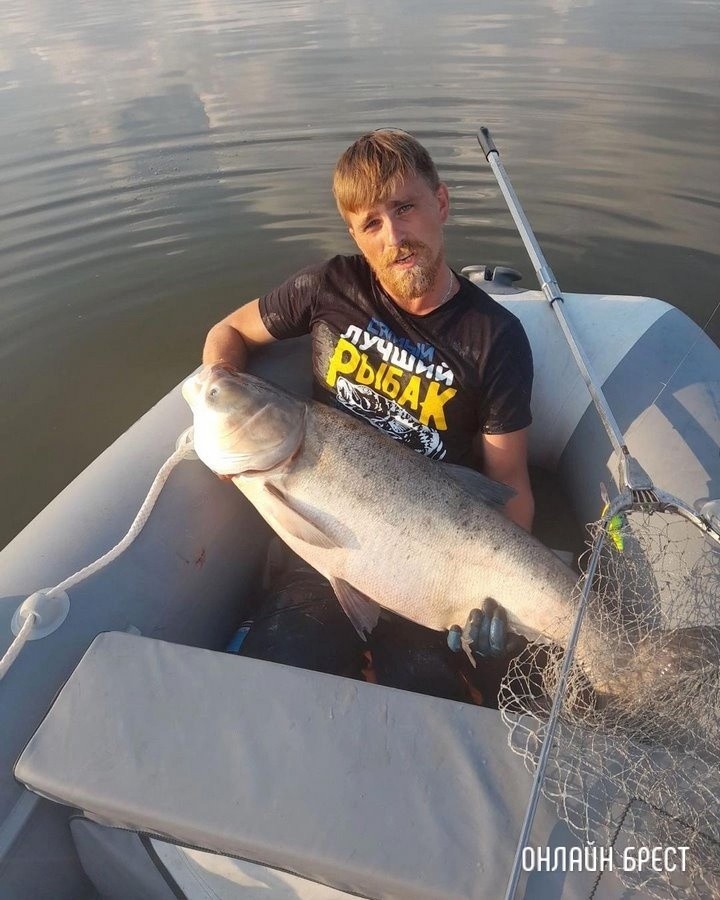 Громадный толстолобик попался рыбаку в Брестской области