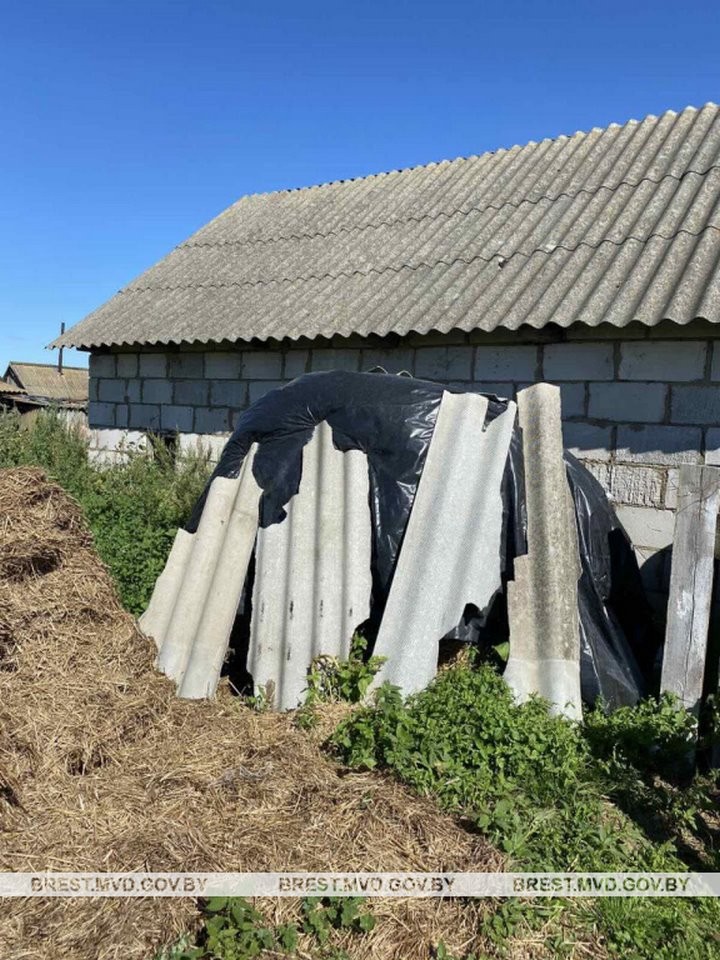 Доярка крала комбикорм на предприятии в Брестской области. Вот сколько успела своровать