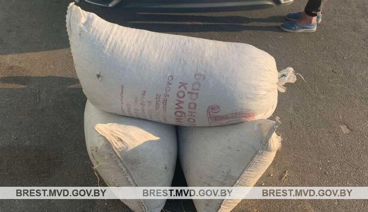 Доярка крала комбикорм на предприятии в Брестской области. Вот сколько успела своровать