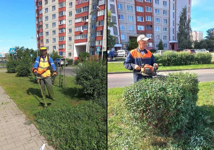 Косят траву