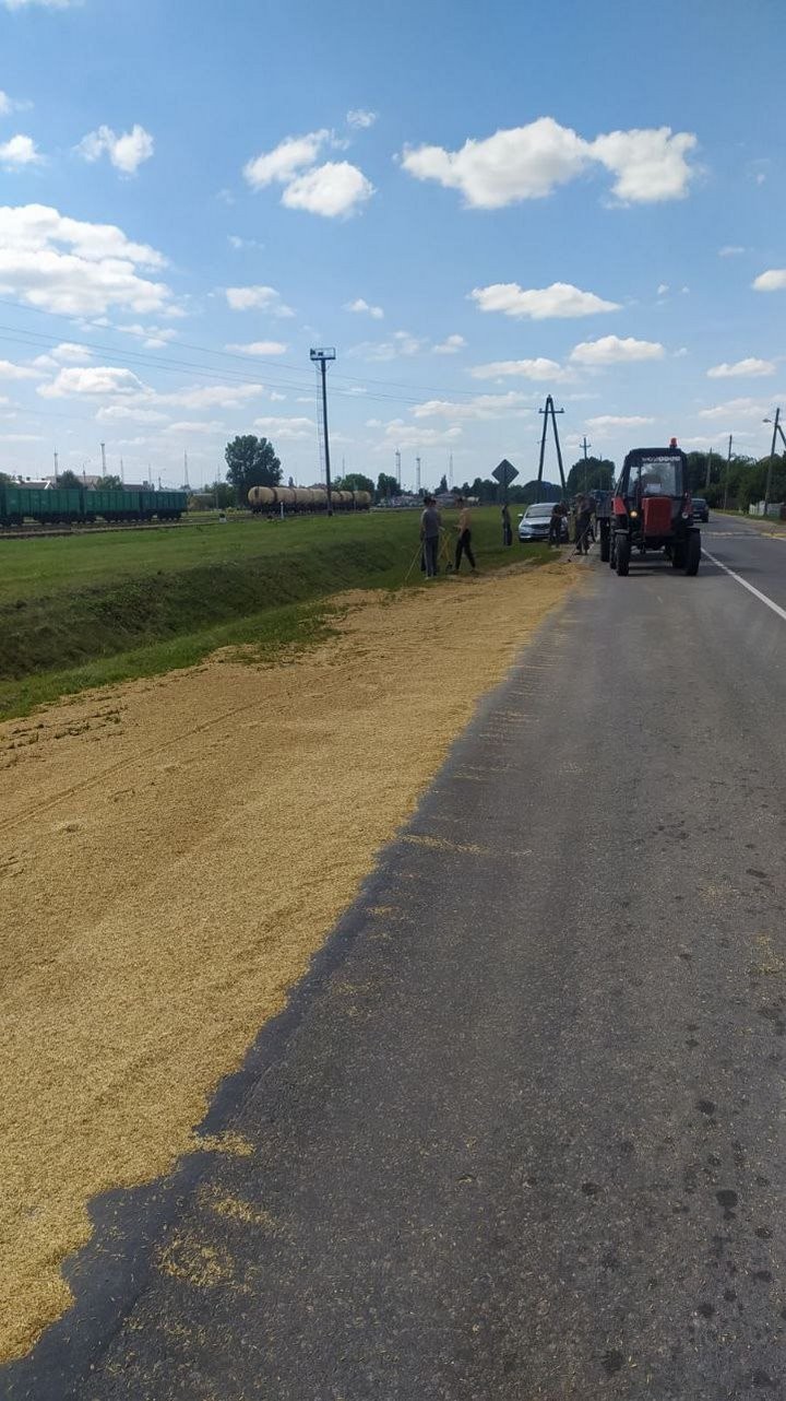 4 тонны зерна высыпалось на проезжую часть. За рулём грузовика находился житель Брестского района