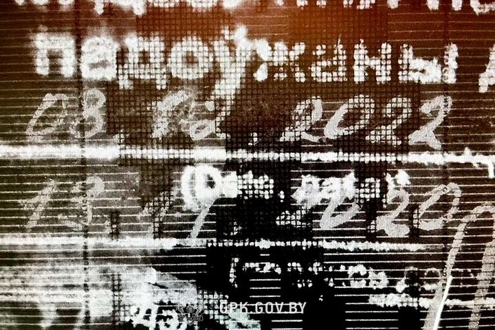 Белоруска изменила одну цифру в паспорте. На границе в Бресте это заметили