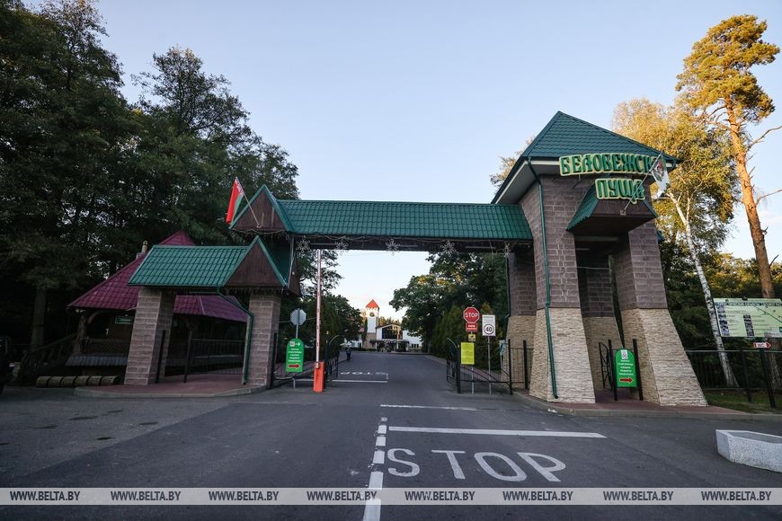 Рев оленей и бардовские песни у костра: послушать осень позвали туристов в Беловежской пуще