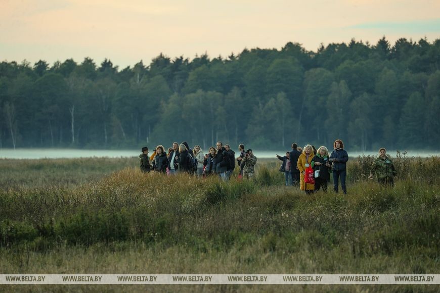 Фото из открытых источников (иллюстративное)