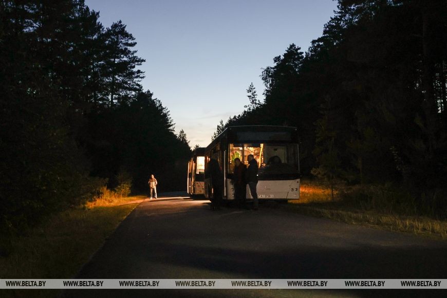 Рев оленей и бардовские песни у костра: послушать осень позвали туристов в Беловежской пуще