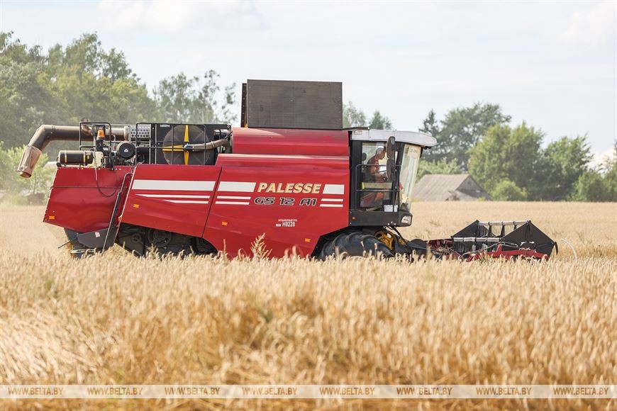 В Пружанском районе идет жатва. 