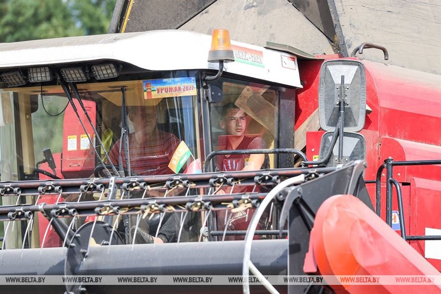 В Пружанском районе идет жатва. 