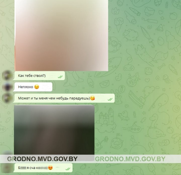 Белорус убедил несовершеннолетнюю изготовить порнографические материалы