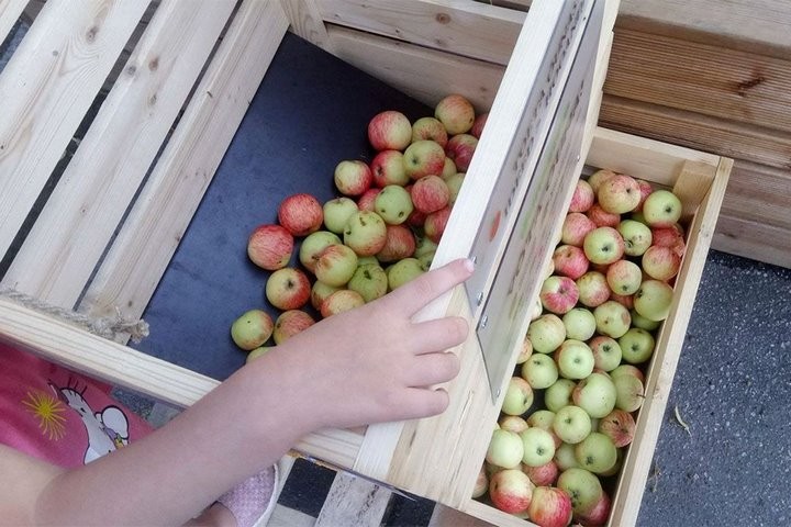 Фото из открытых источников (иллюстративное)