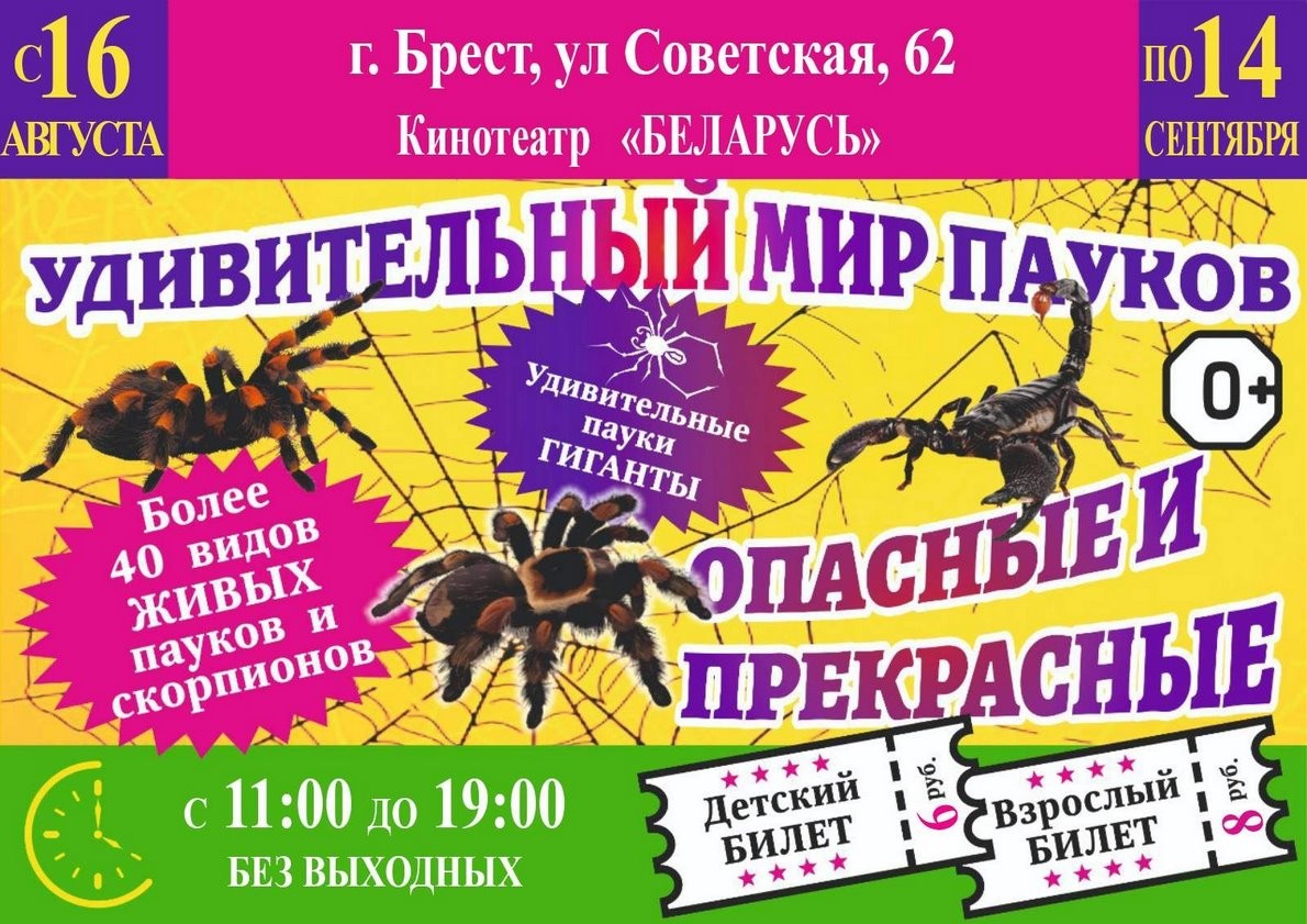 Нашествие пауков-гигантов, скорпионов, ящериц и тарантулов в Бресте. Приходи на выставку «Опасные и прекрасные» в кинотеатре «Беларусь»