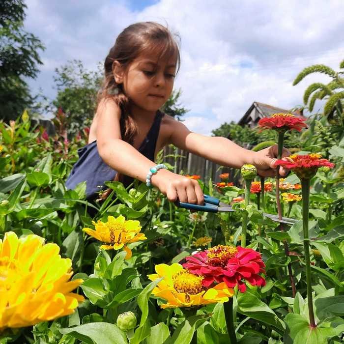 Райский уголок с необычными лилиями и даже клубникой создала жительница Бреста