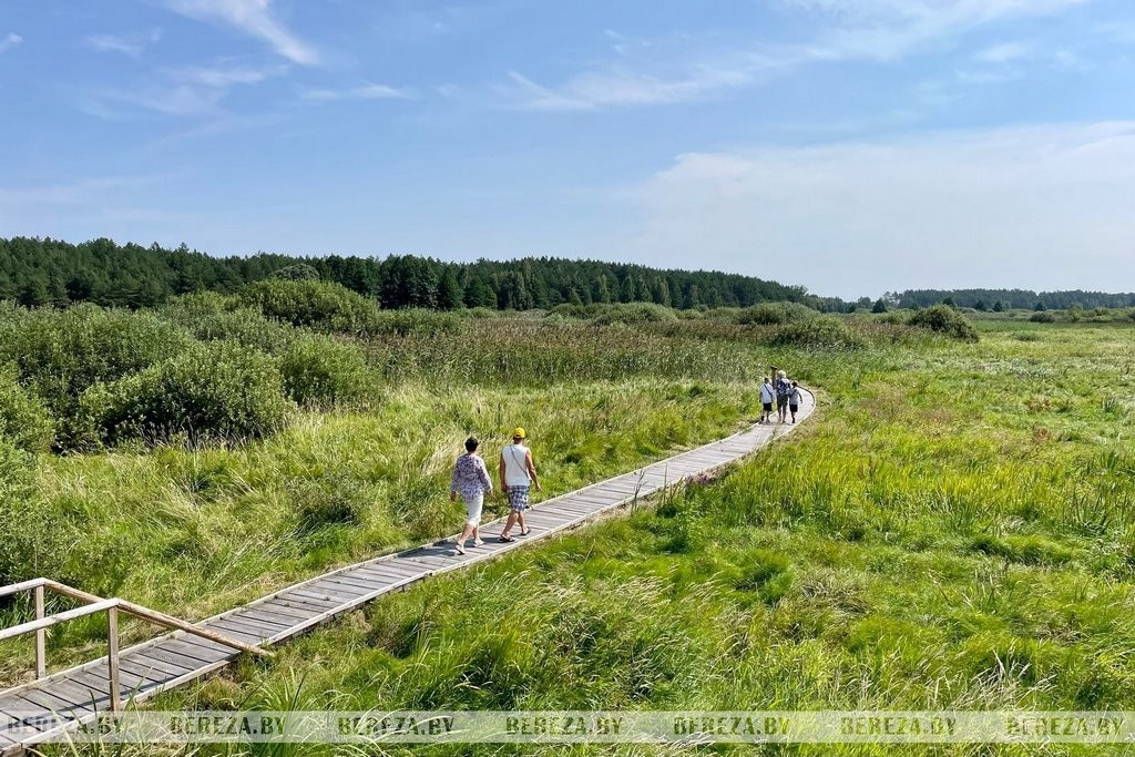 В деревне Высокое Березовского района состоялся экофестиваль «Споровские сенокосы – 2022»