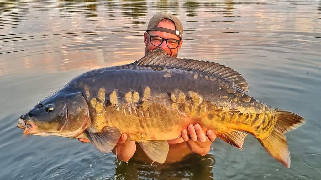 В Беларуси рыбак выловил 12-килогромового карпа и… отпустил его