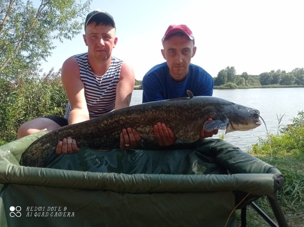 В Беларуси рыбак выловил 12-килогромового карпа и… отпустил его