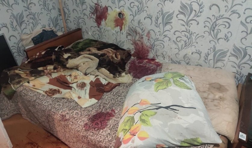 В Брестском районе пьяный мужчина убил собаку, защищавшую хозяйку