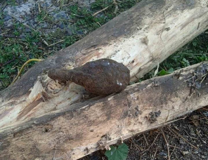 Житель Пинского района откопал на своем участке гранату