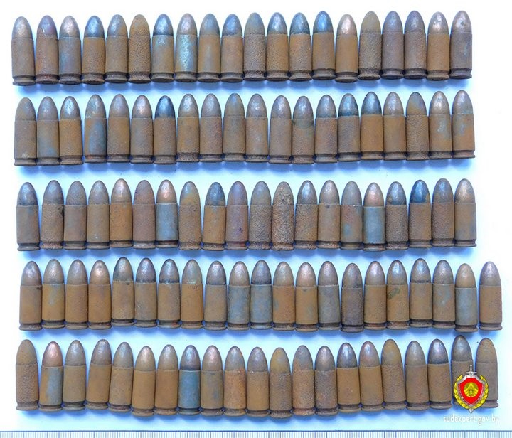 Брестчанка нашла в старом доме оружие и больше сотни патронов