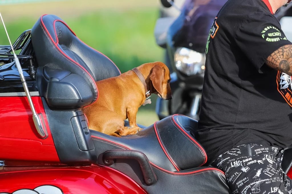 Смотрите, как прошёл первый день BIKE FEST ZHABINKA