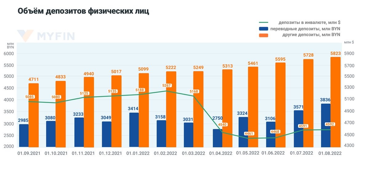 Получили максимальные выплаты на карточки: куда белорусы понесли деньги