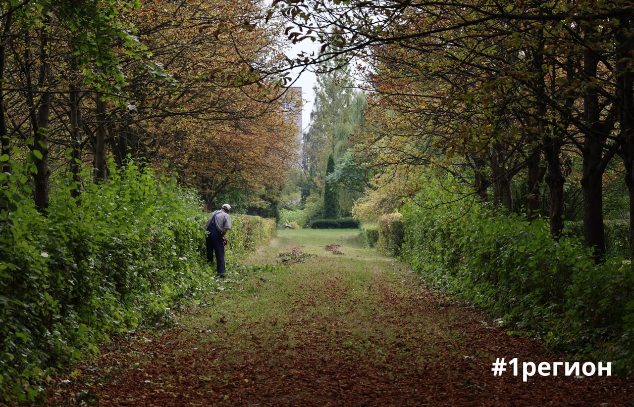 Сад в Бресте, где собрана флора со всех уголков планеты