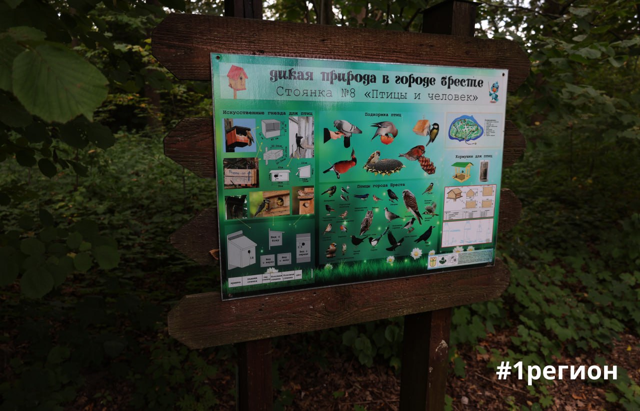 Сад в Бресте, где собрана флора со всех уголков планеты