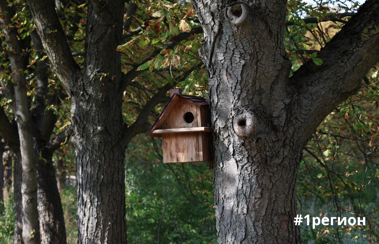 Сад в Бресте, где собрана флора со всех уголков планеты