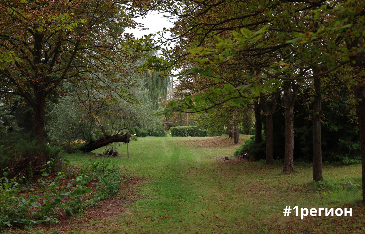 Сад в Бресте, где собрана флора со всех уголков планеты