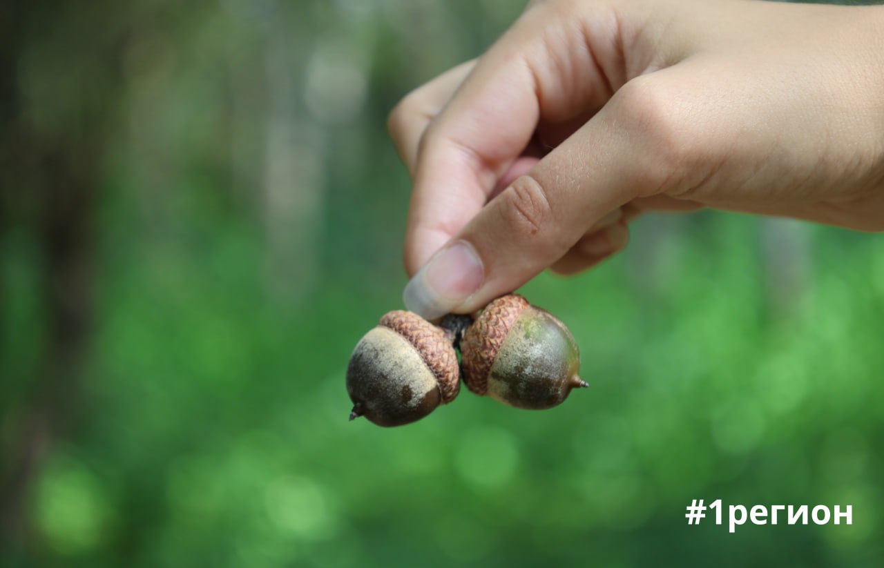 Сад в Бресте, где собрана флора со всех уголков планеты