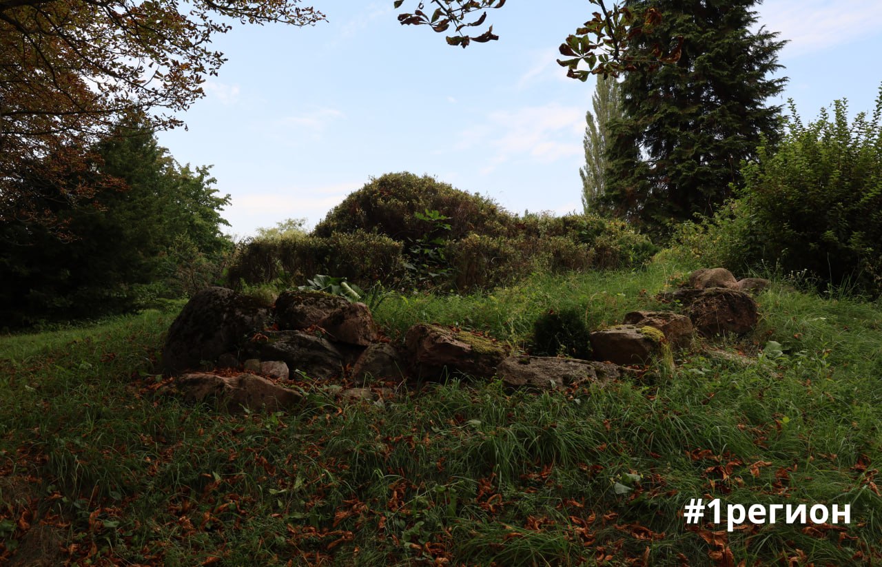 Сад в Бресте, где собрана флора со всех уголков планеты