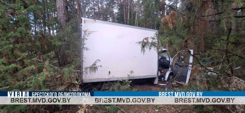 Утро в Пружанском районе началось с аварии: Mercedes врезался в дикого зверя