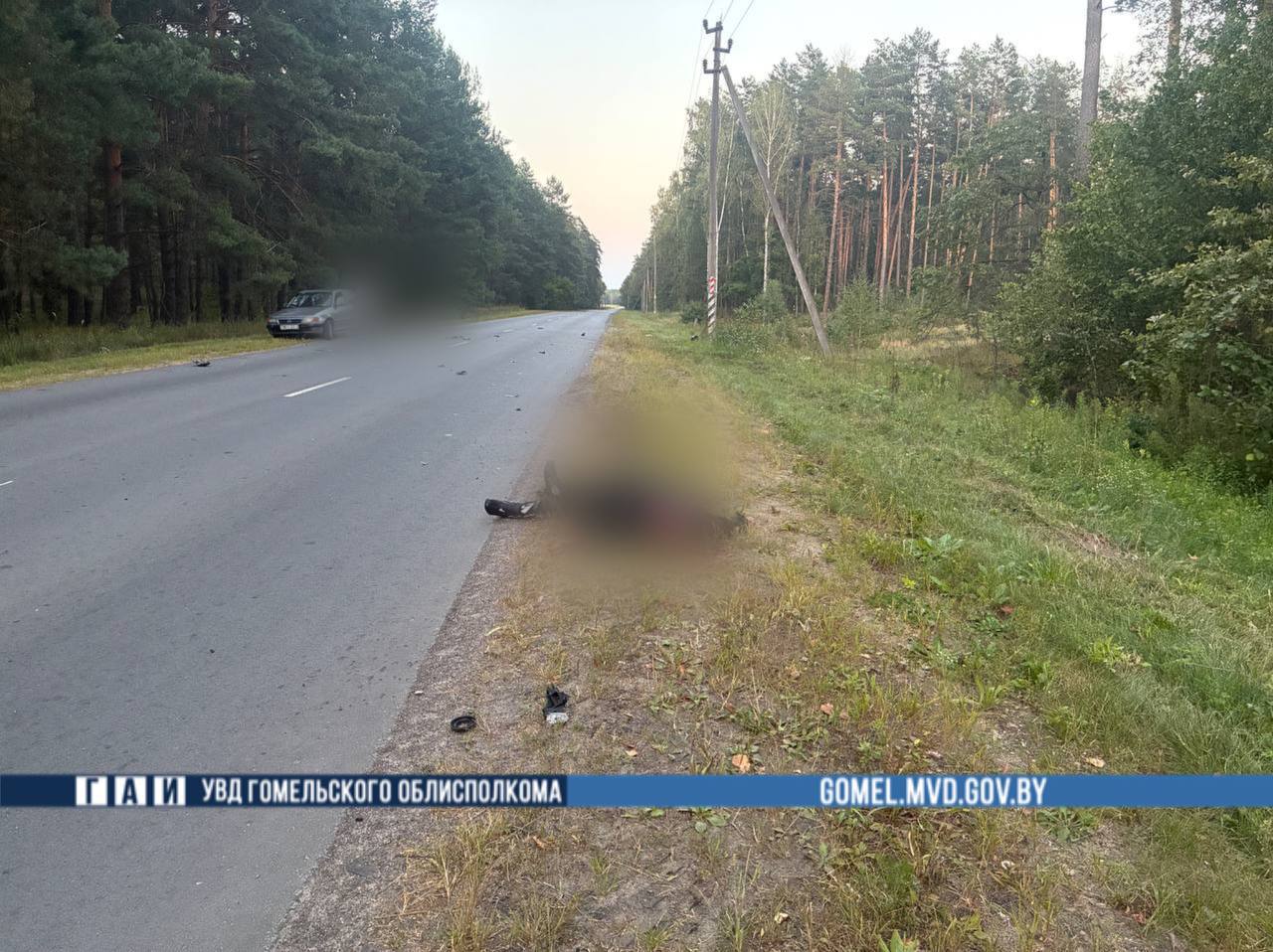 В Беларуси мотоциклист погиб в результате наезда на лося