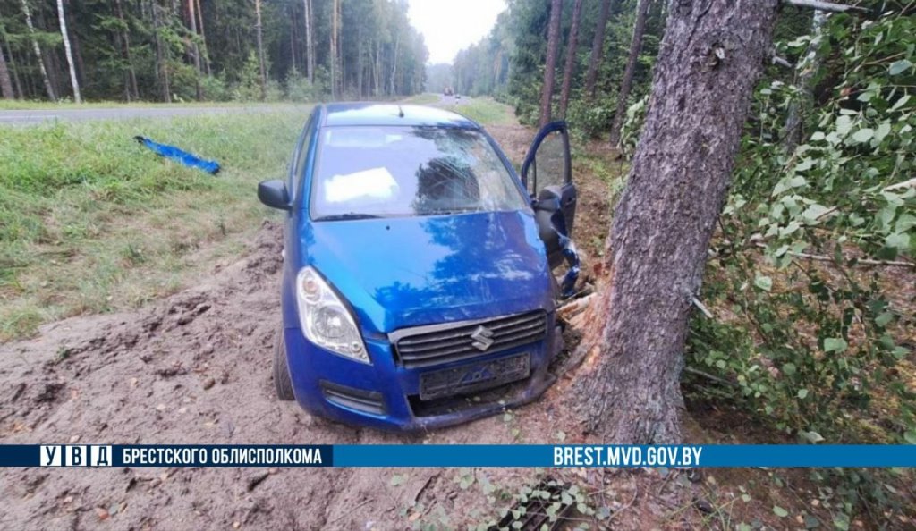 В Пружанском районе водитель уснул за рулём и врезался в дерево