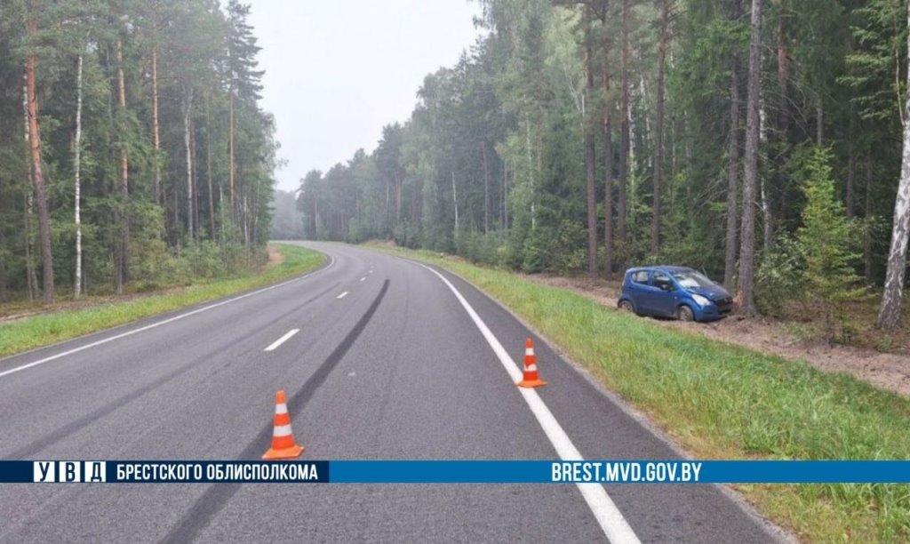В Пружанском районе водитель уснул за рулём и врезался в дерево