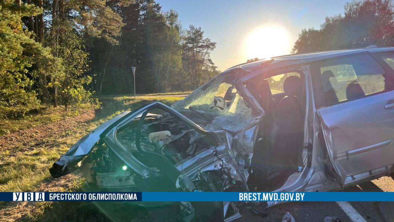 Смертельное ДТП в Брестской области: погибла женщина, водитель из Бреста госпитализирован
