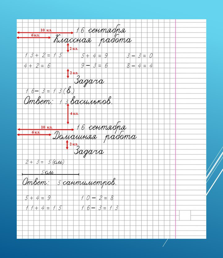 Сколько клеточек отступать? Минобразования опубликовало памятку по оформлению тетрадей