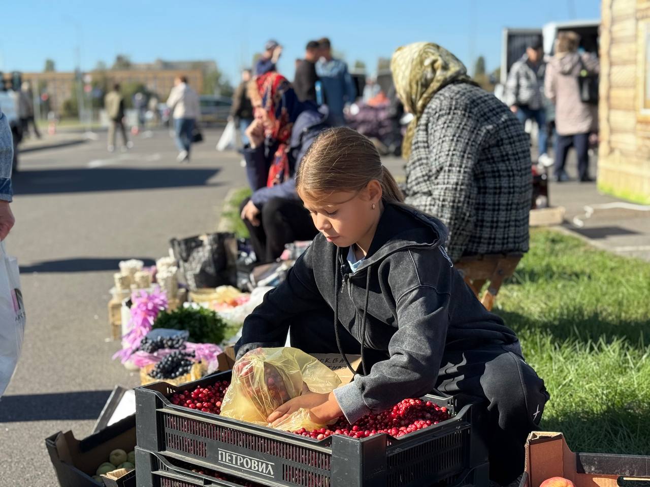 В Бресте стартовали сельскохозяйственные ярмарки